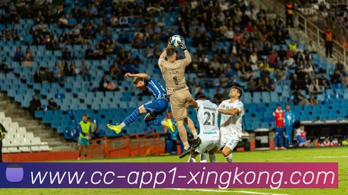 星空体育APP 体育赛事宣传图